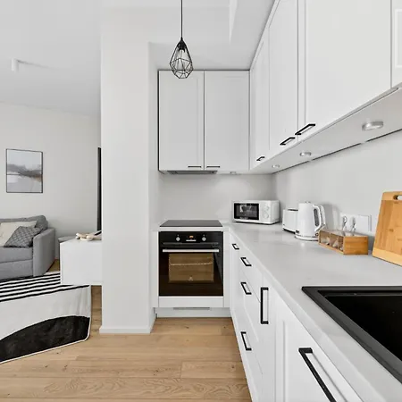 2br Kalamaja Flat With Private Lift & Roof Terrace 塔林